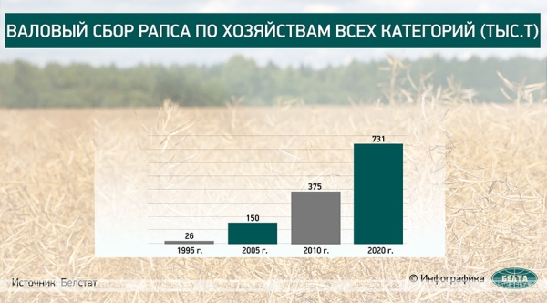 Оправдалась ли ставка Лукашенко на сельское хозяйство? Рассказываем в цифрах