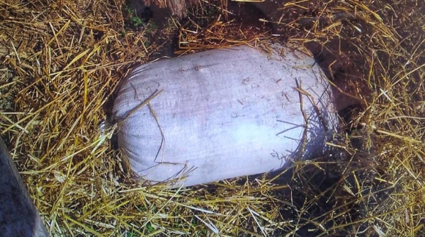 Похититель зерна в Стародорожском районе напал на бухгалтера сельхозпредприятия Похититель зерна в Стародорожском районе напал на бухгалтера сельхозпредприятия