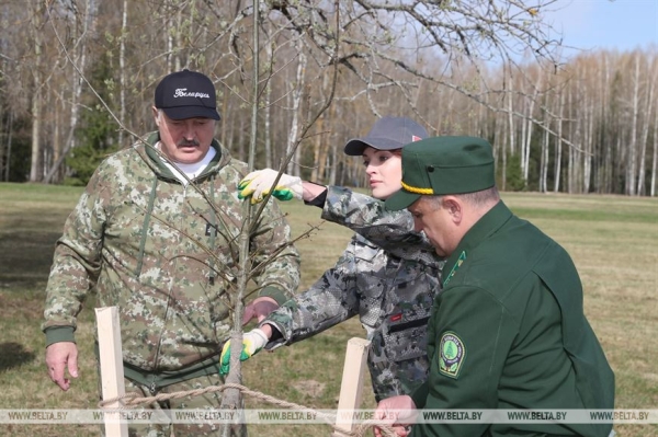 "Каждый год надо привносить изюминку". Лукашенко на субботнике трудится в мемориальном комплексе "Хатынь" "Каждый год надо привносить изюминку". Лукашенко на субботнике трудится в мемориальном комплексе "Хатынь"