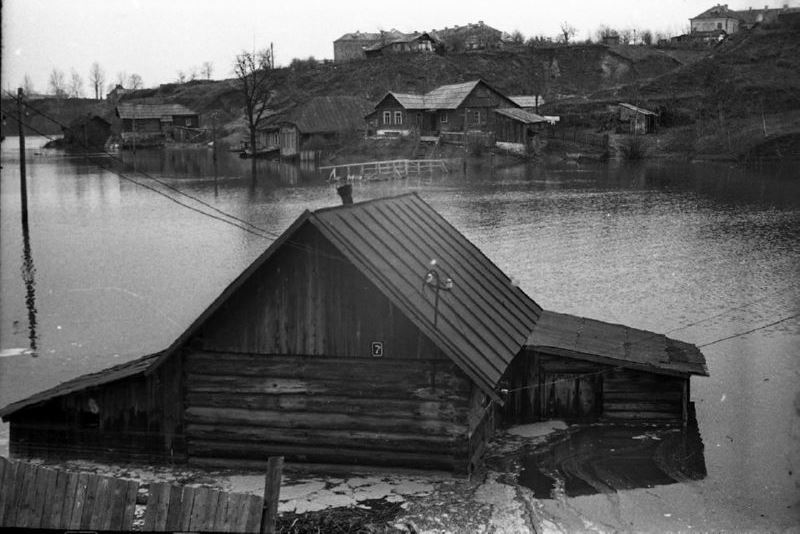 Как золотая рыбка в Витебске утонула