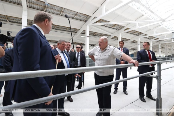 Полевые будни, международный замес и Олимпиада Содружества. Акценты аграрно-спортивной недели Президента