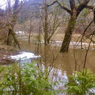 «Я будущую дочку назову твоим прекрасным именем — Лучёса»