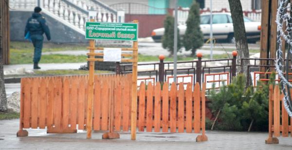 В Старых Дорогах открылся ёлочный базар. Почём новогодние ёлки? В Старых Дорогах открылся ёлочный базар. Почём новогодние ёлки?