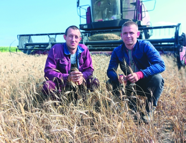 В «Шапчицах-агро» рассчитывают собрать урожай не хуже прошлогоднего В «Шапчицах-агро» рассчитывают собрать урожай не хуже прошлогоднего