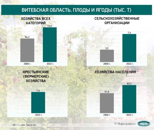 Оправдалась ли ставка Лукашенко на сельское хозяйство? Рассказываем в цифрах