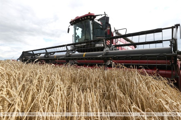 Полевые будни, международный замес и Олимпиада Содружества. Акценты аграрно-спортивной недели Президента
