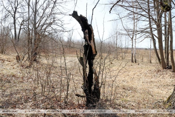 ДОСЬЕ: К 37-й годовщине аварии на Чернобыльской АЭС ДОСЬЕ: К 37-й годовщине аварии на Чернобыльской АЭС