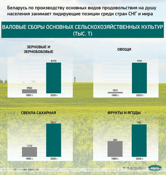 Оправдалась ли ставка Лукашенко на сельское хозяйство? Рассказываем в цифрах