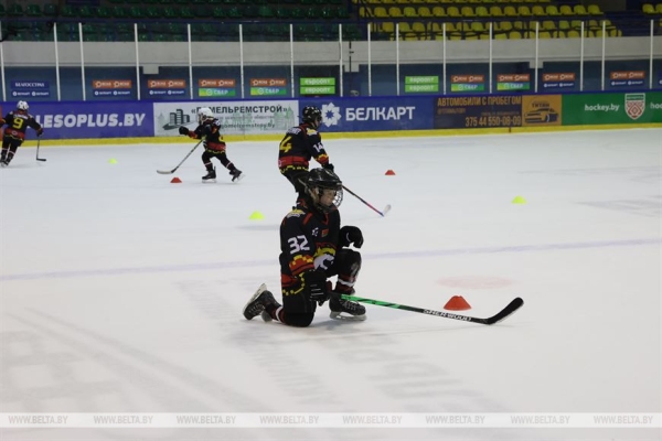 Лед и татами. Хоккейная арена в Гомеле встретит дзюдоистов II Игр стран СНГ Лед и татами. Хоккейная арена в Гомеле встретит дзюдоистов II Игр стран СНГ