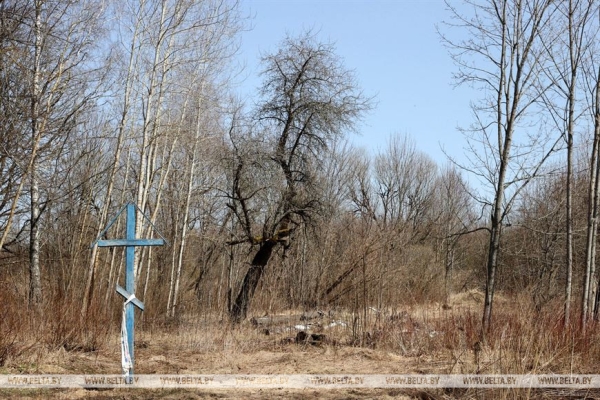 ДОСЬЕ: К 37-й годовщине аварии на Чернобыльской АЭС ДОСЬЕ: К 37-й годовщине аварии на Чернобыльской АЭС