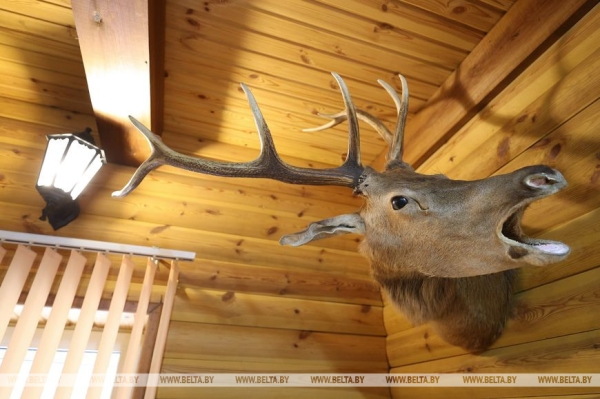 Когда деревья стали большими Когда деревья стали большими