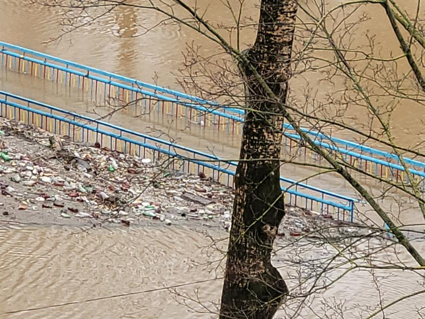 Как золотая рыбка в Витебске утонула